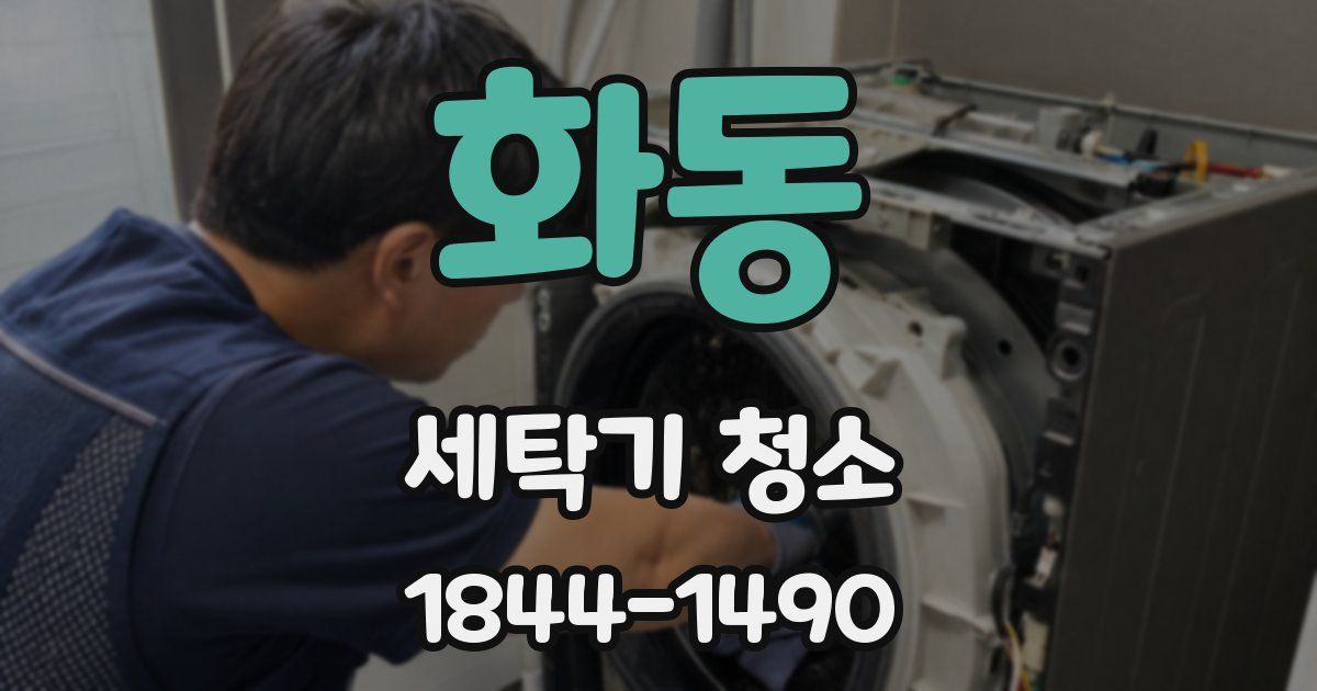 화동 세탁기 청소