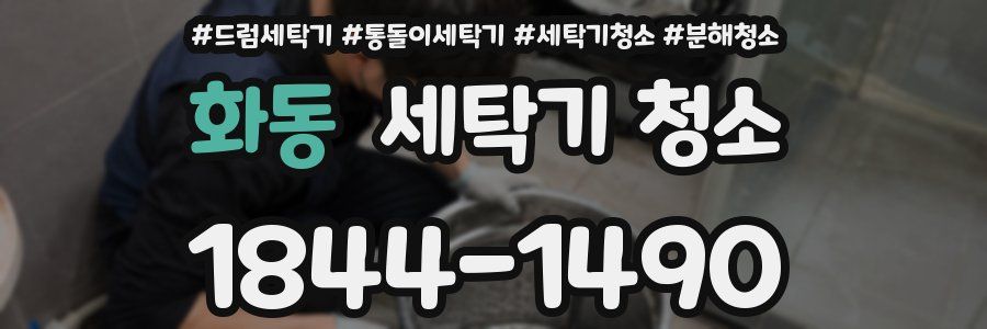 화동 세탁기 청소
