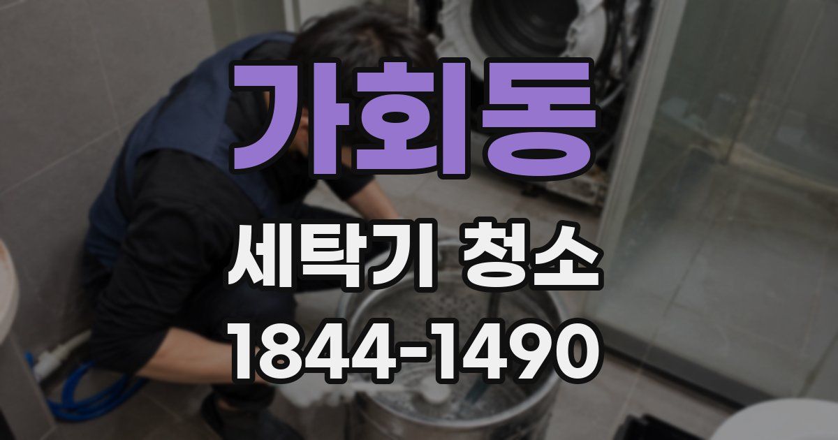 가회동 세탁기 청소