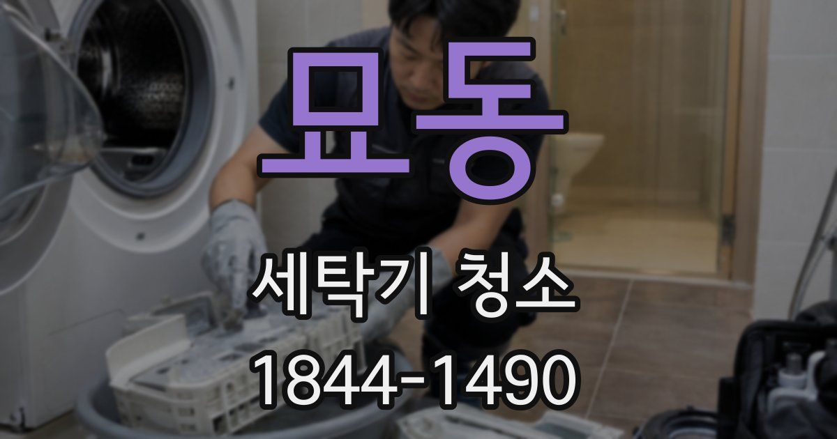 묘동 세탁기 청소