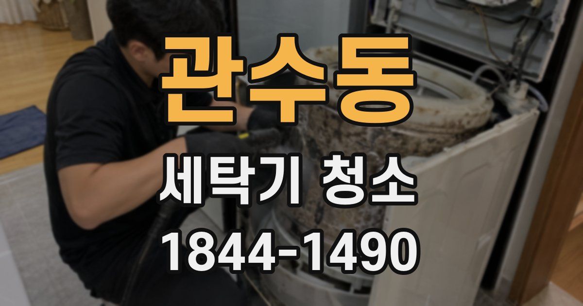 관수동 세탁기 청소