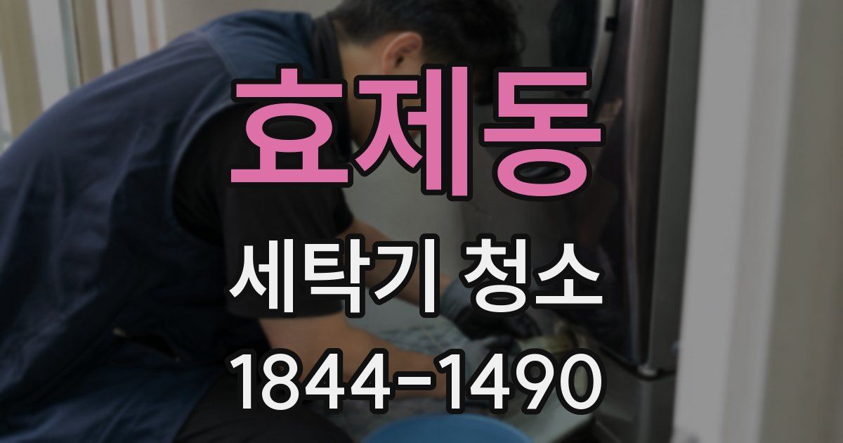효제동 세탁기 청소