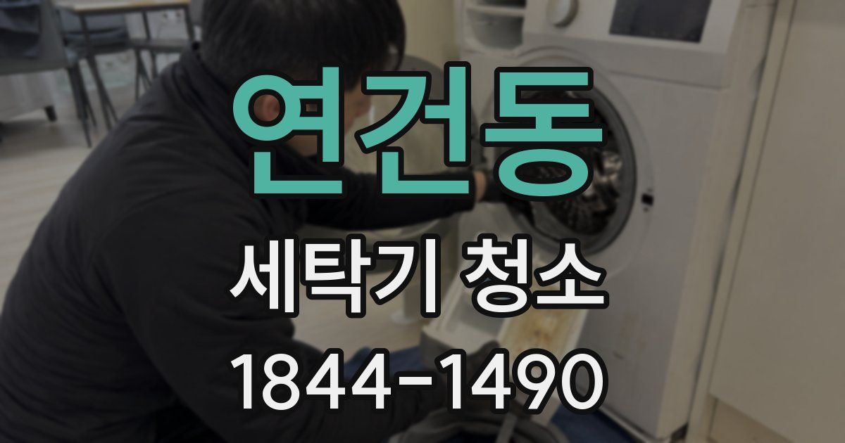 연건동 세탁기 청소