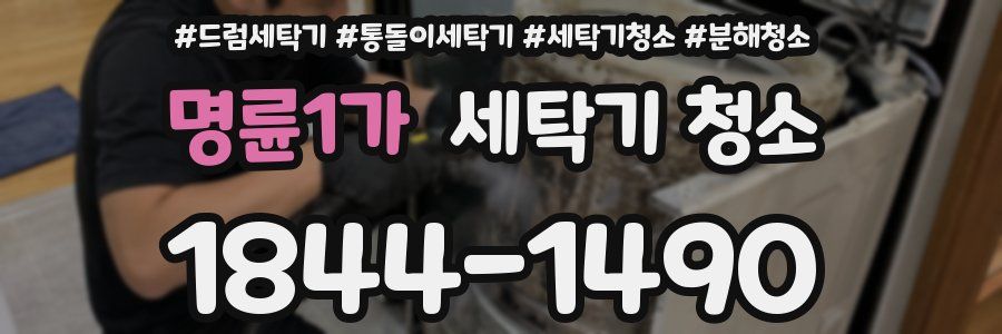 명륜1가 세탁기 청소