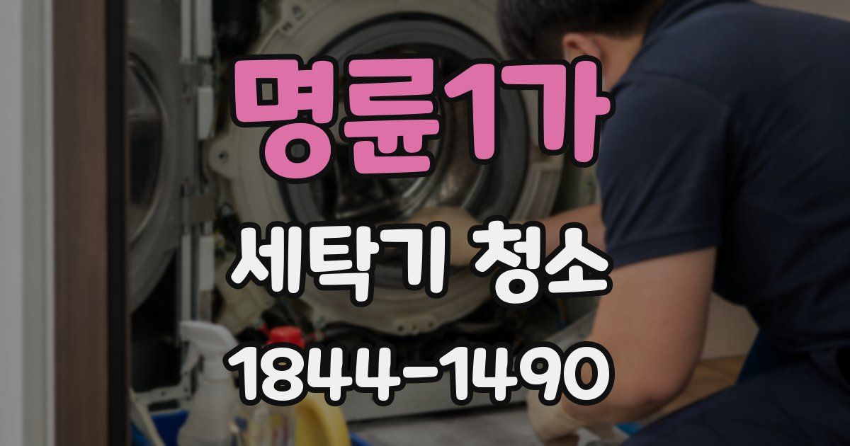 명륜1가 세탁기 청소