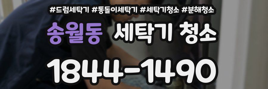 송월동 세탁기 청소