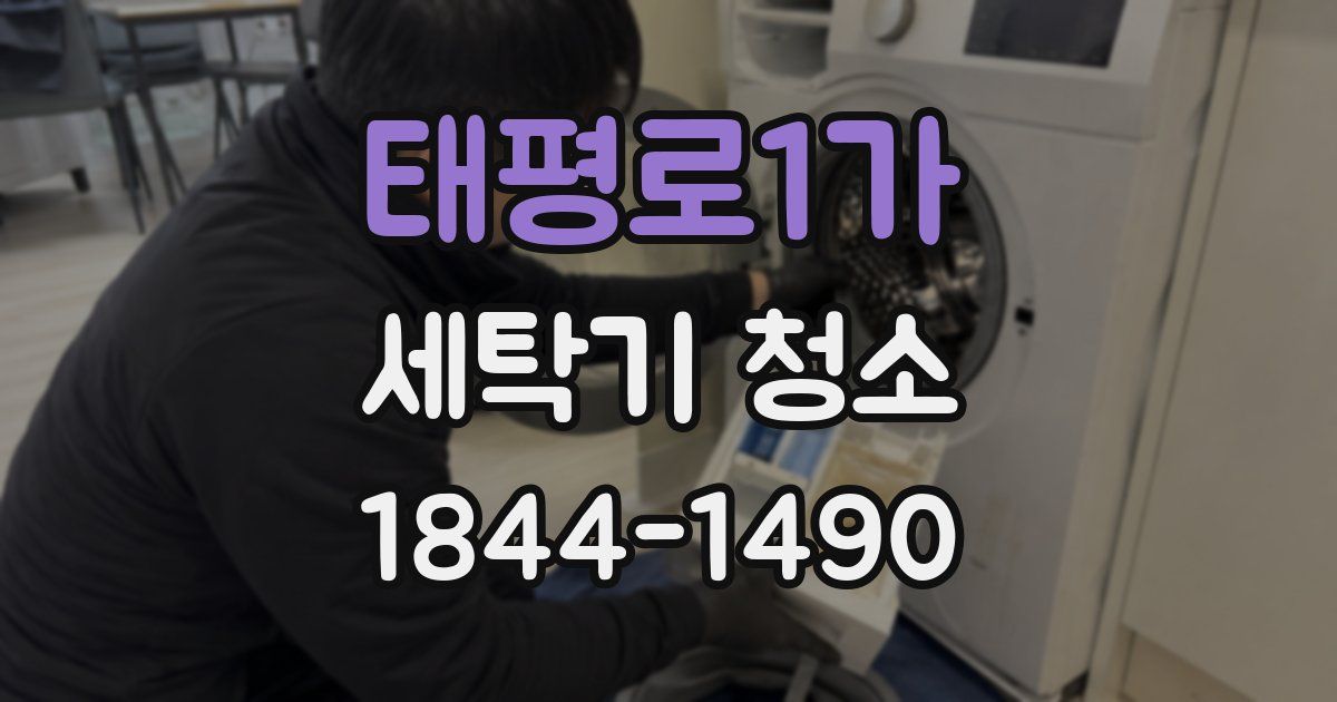 태평로1가 세탁기 청소
