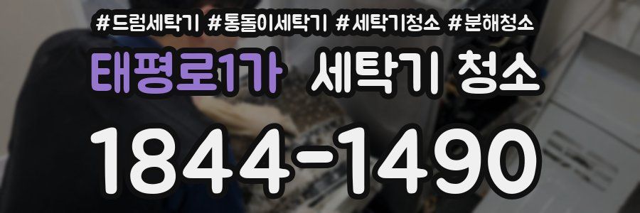 태평로1가 세탁기 청소