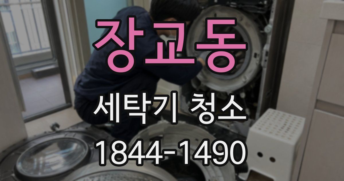 장교동 세탁기 청소