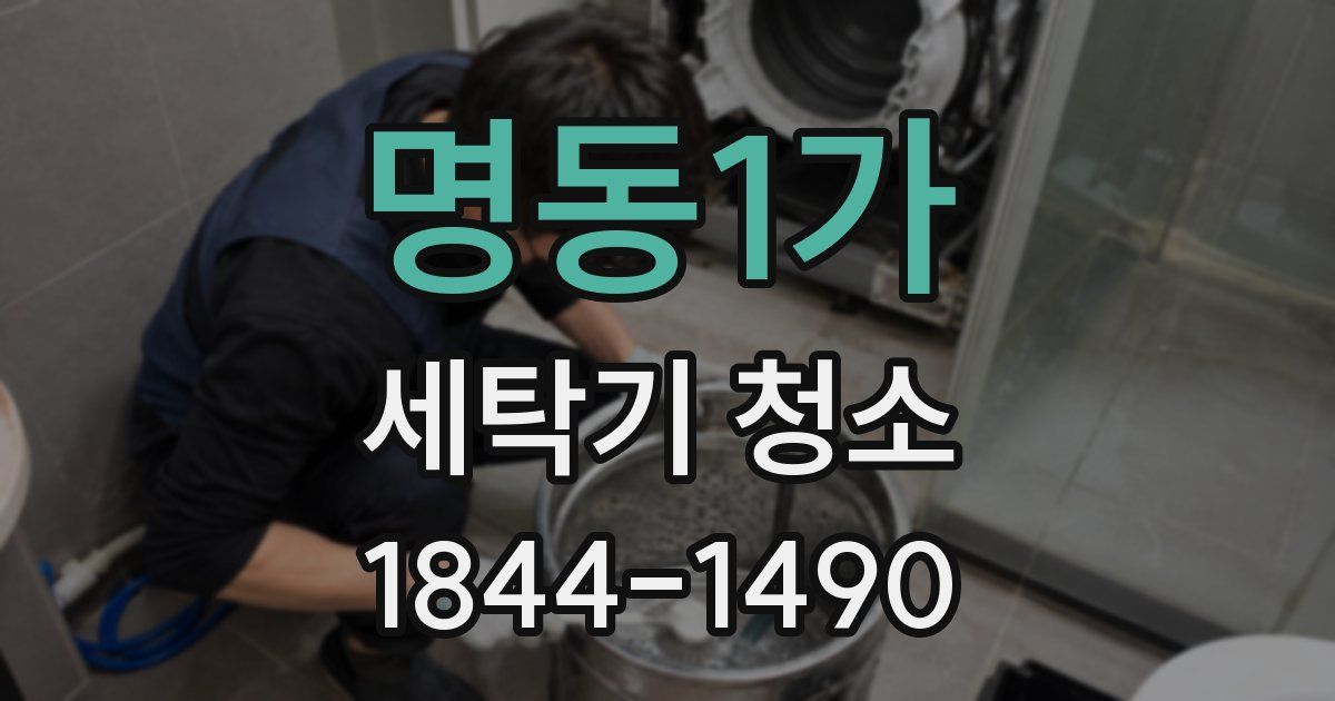 명동1가 세탁기 청소