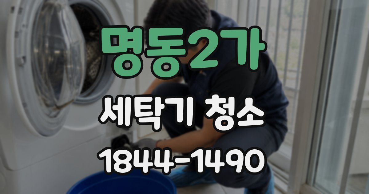 명동2가 세탁기 청소