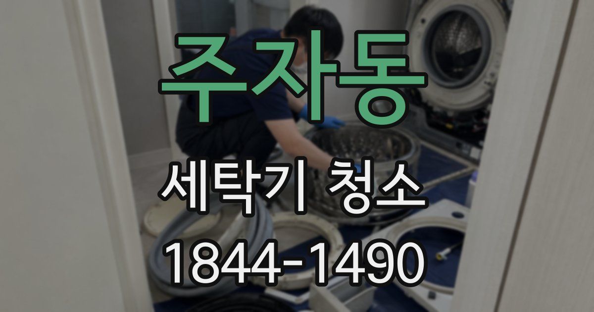 주자동 세탁기 청소
