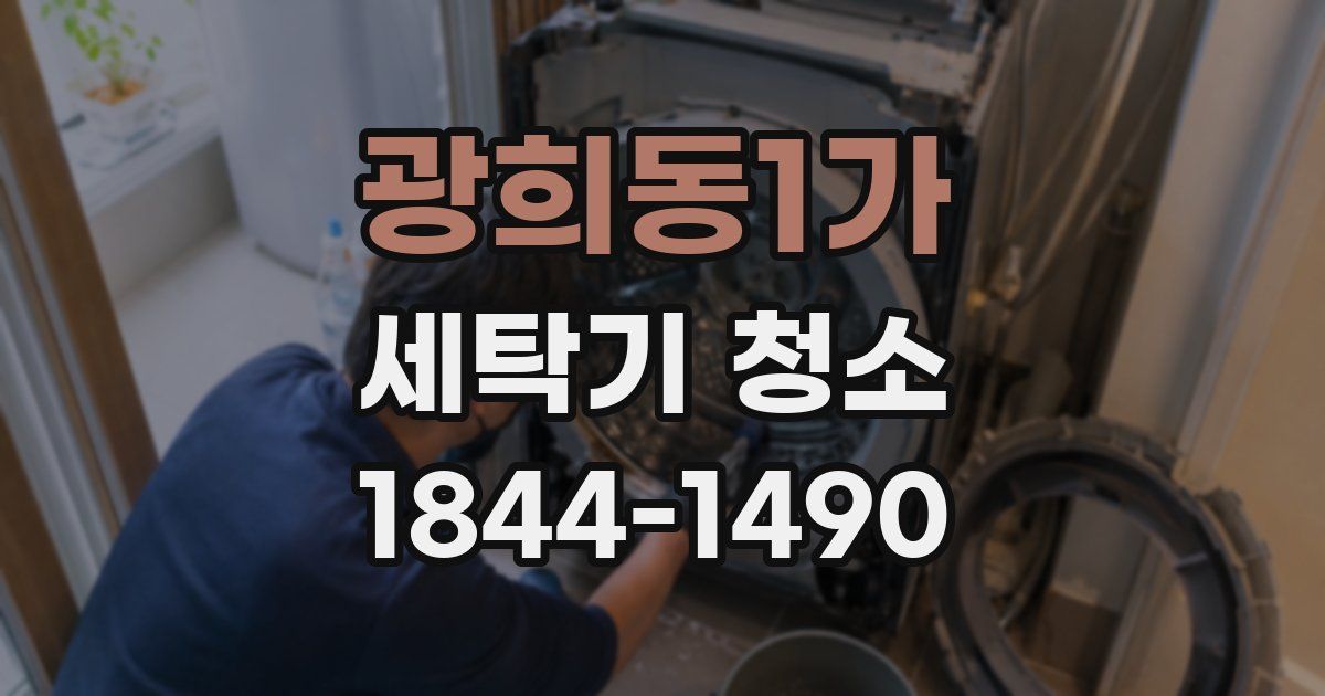 광희동1가 세탁기 청소