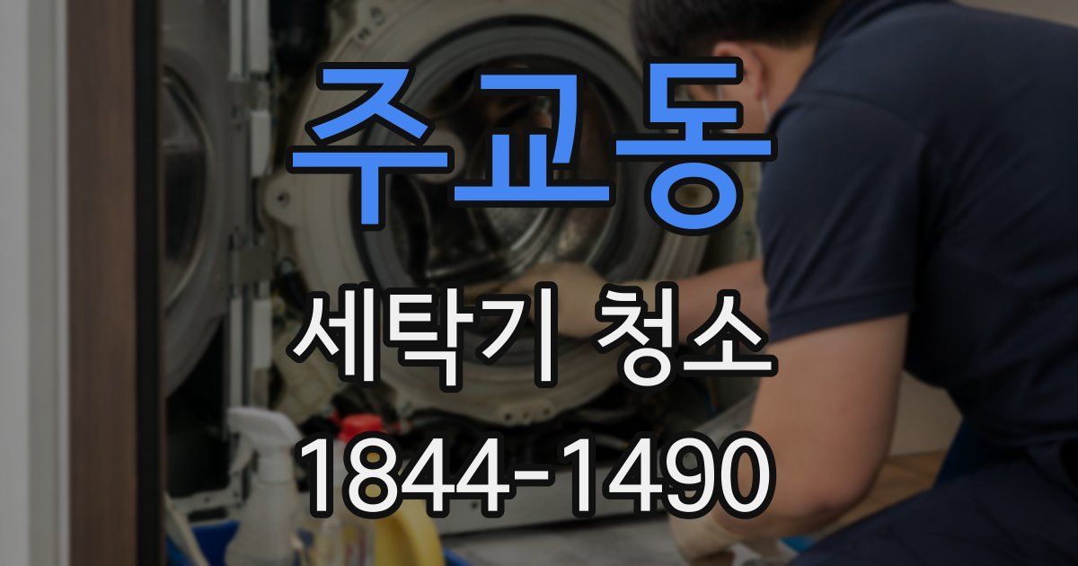 주교동 세탁기 청소