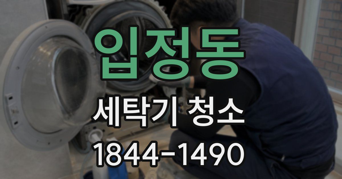 입정동 세탁기 청소