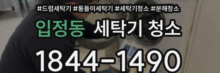 입정동 세탁기 청소