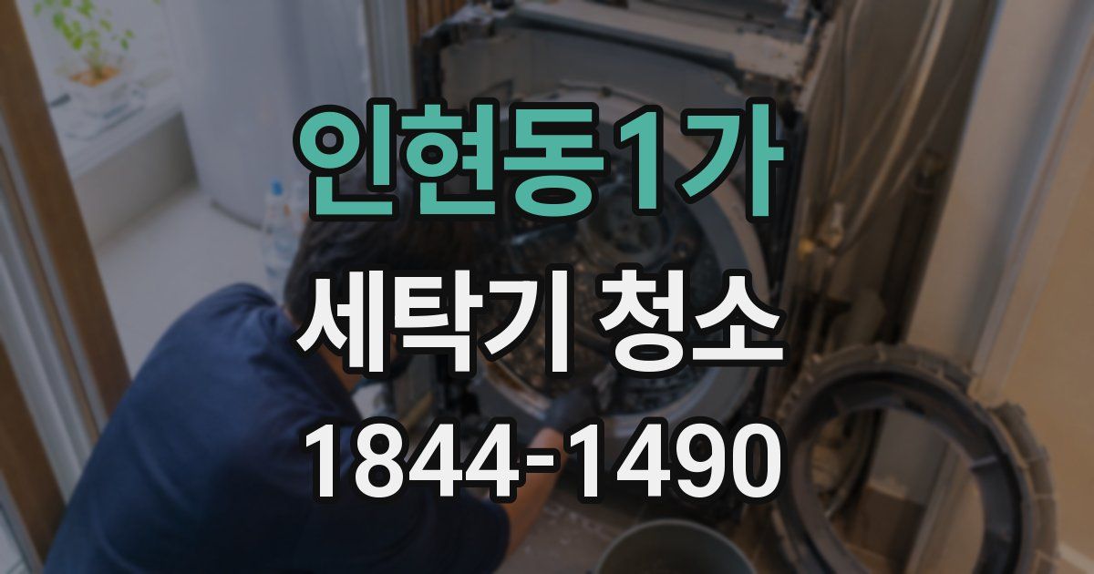 인현동1가 세탁기 청소