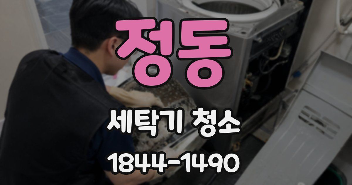 정동 세탁기 청소