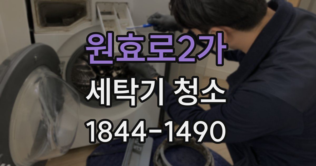 원효로2가 세탁기 청소