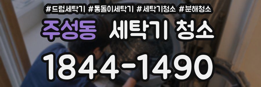 주성동 세탁기 청소