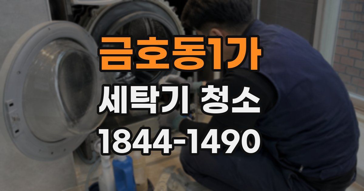 금호동1가 세탁기 청소