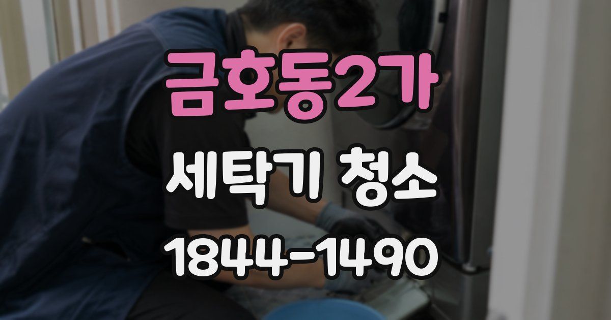 금호동2가 세탁기 청소