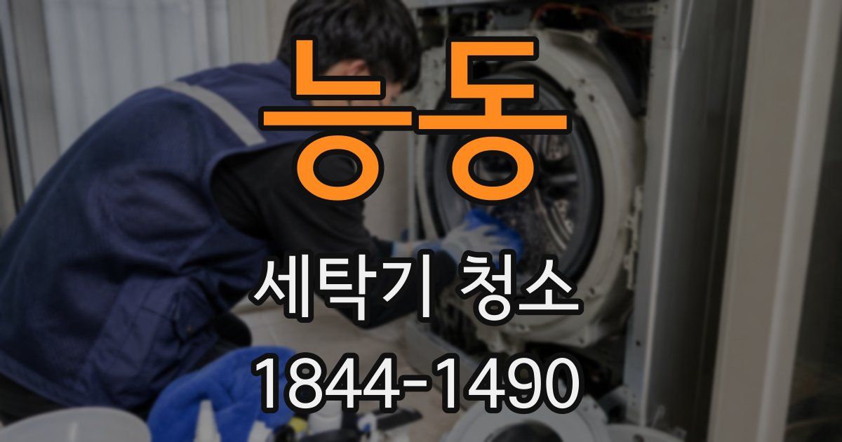 능동 세탁기 청소