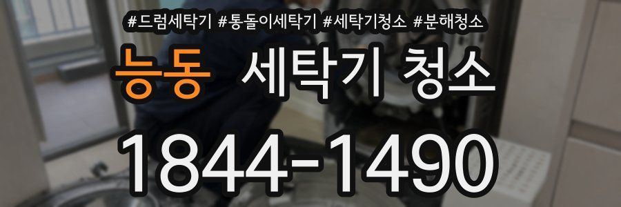 능동 세탁기 청소