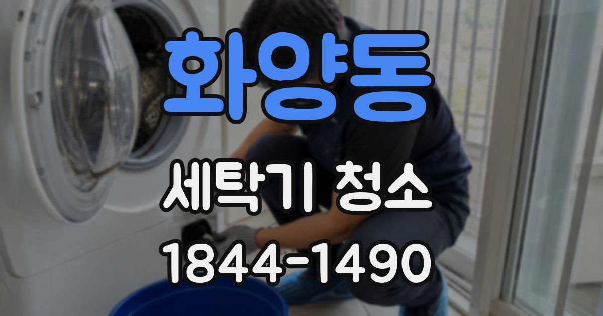 화양동 세탁기 청소