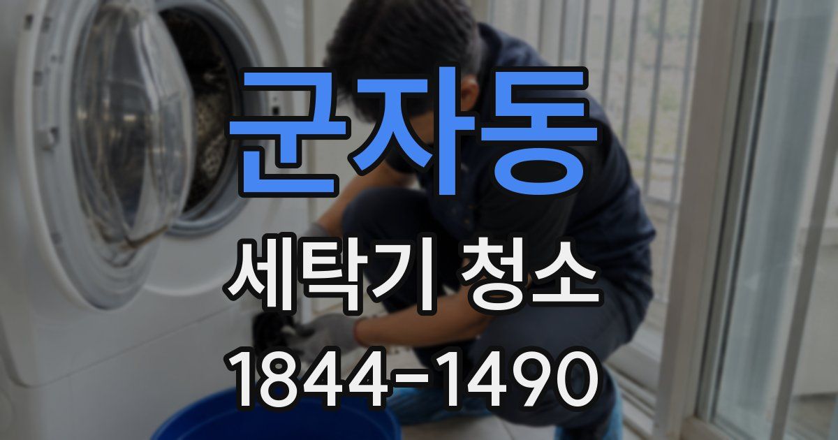 군자동 세탁기 청소
