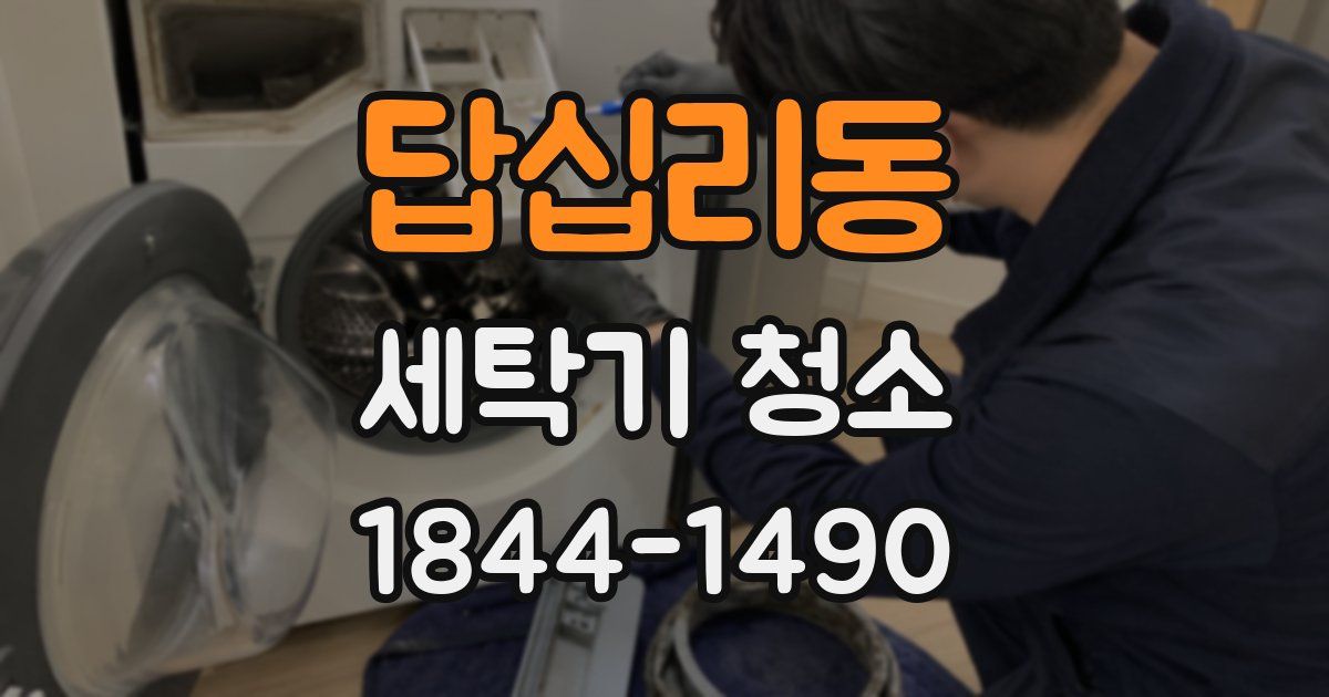 답십리동 세탁기 청소
