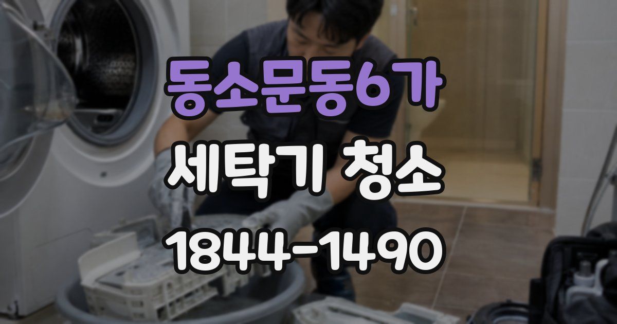 동소문동6가 세탁기 청소
