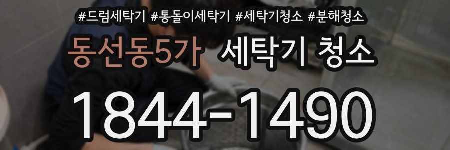 동선동5가 세탁기 청소