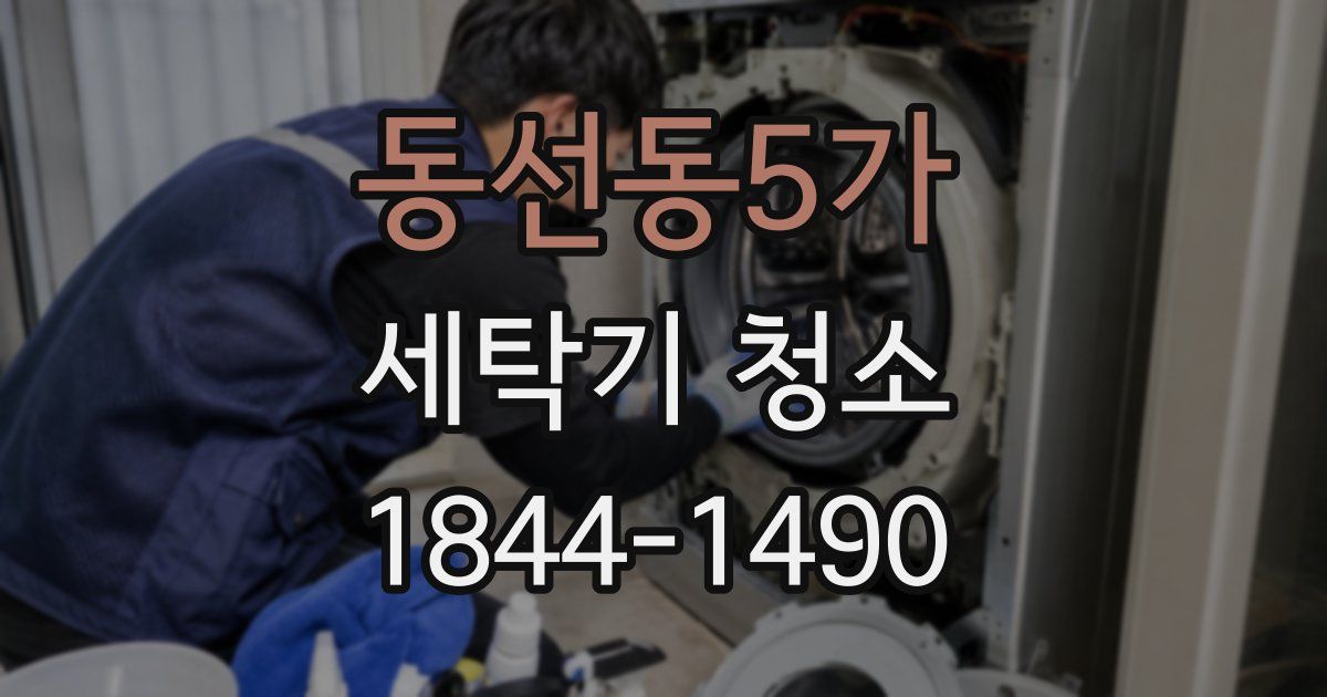 동선동5가 세탁기 청소