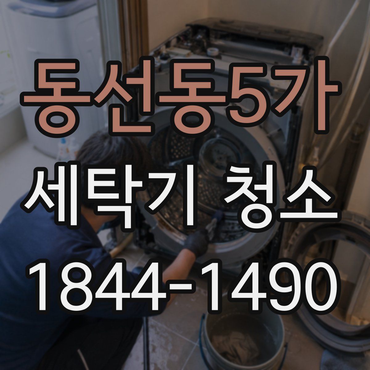 동선동5가 세탁기 청소