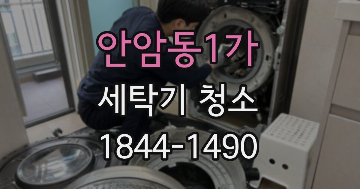 안암동1가 세탁기 청소