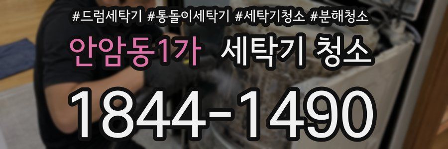 안암동1가 세탁기 청소