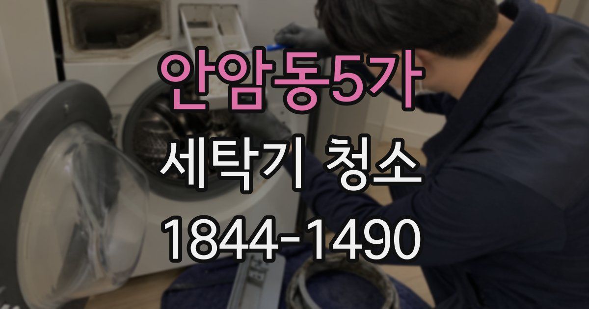 안암동5가 세탁기 청소