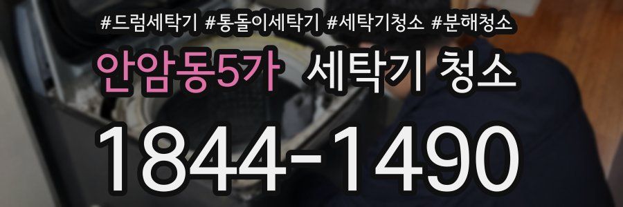 안암동5가 세탁기 청소