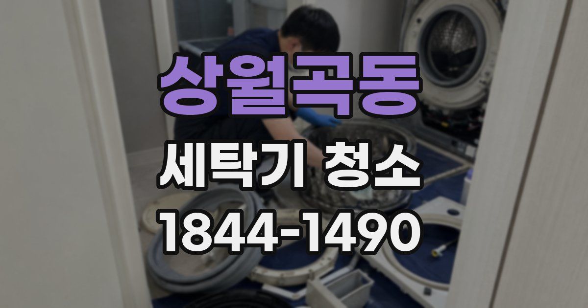 상월곡동 세탁기 청소