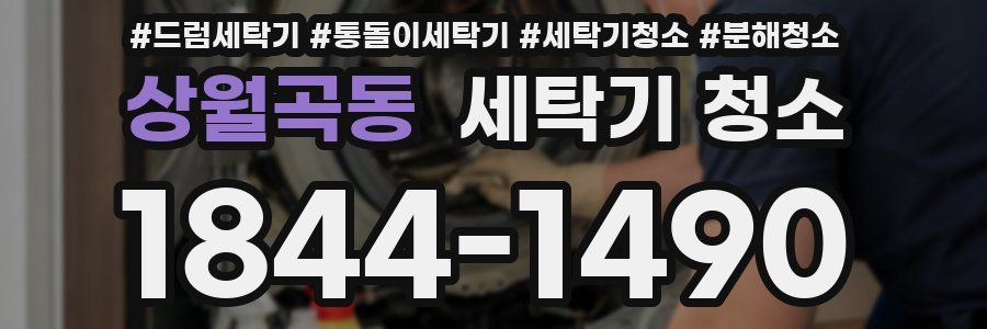 상월곡동 세탁기 청소