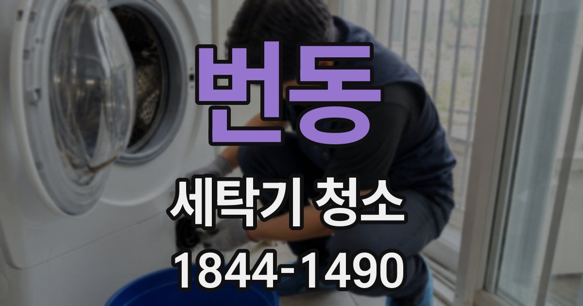 번동 세탁기 청소