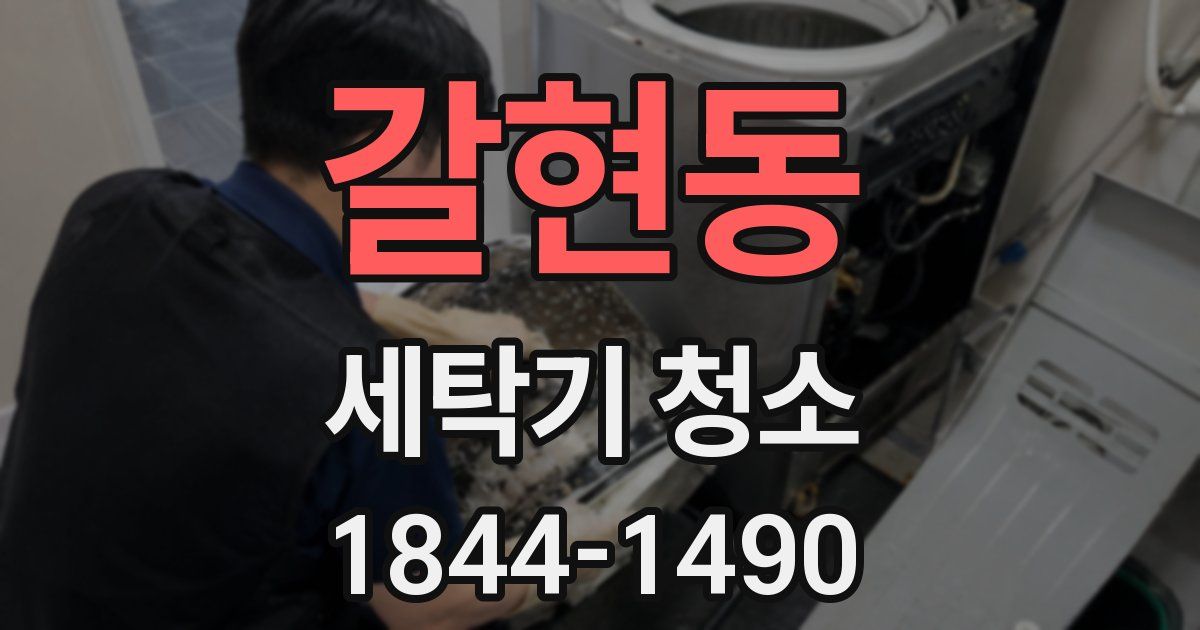 갈현동 세탁기 청소
