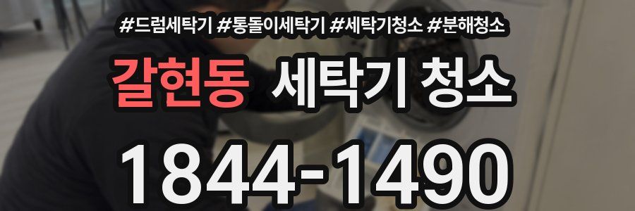 갈현동 세탁기 청소