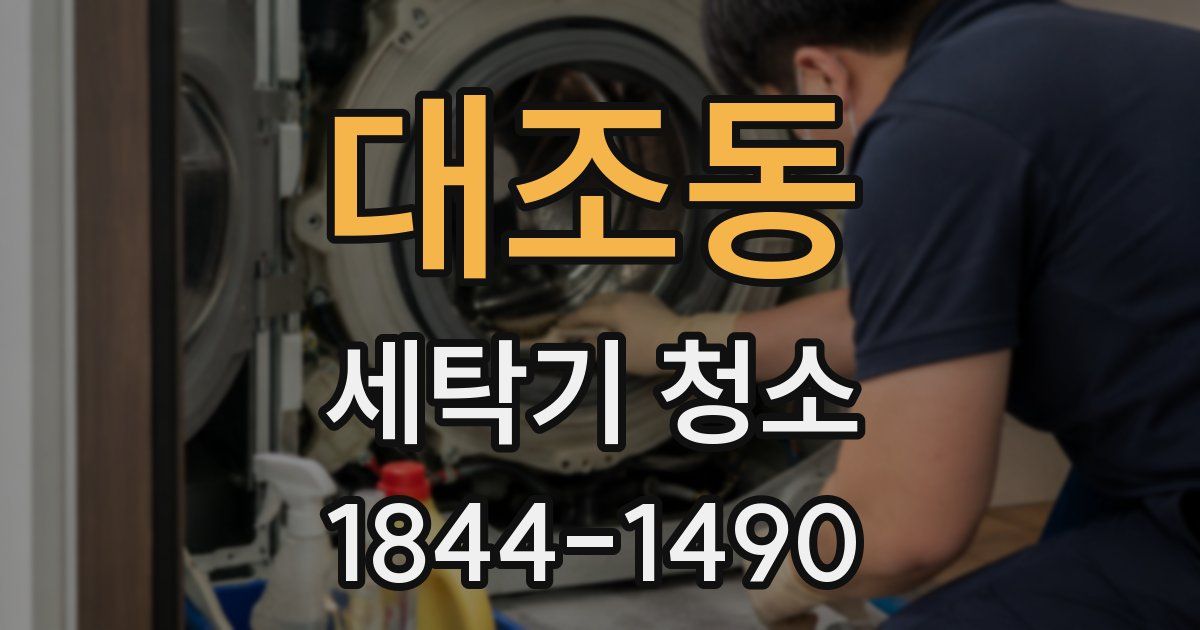 대조동 세탁기 청소