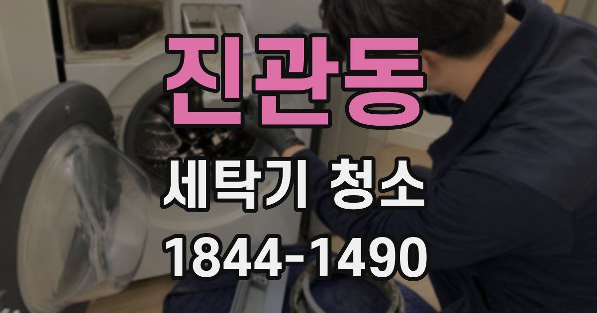 진관동 세탁기 청소