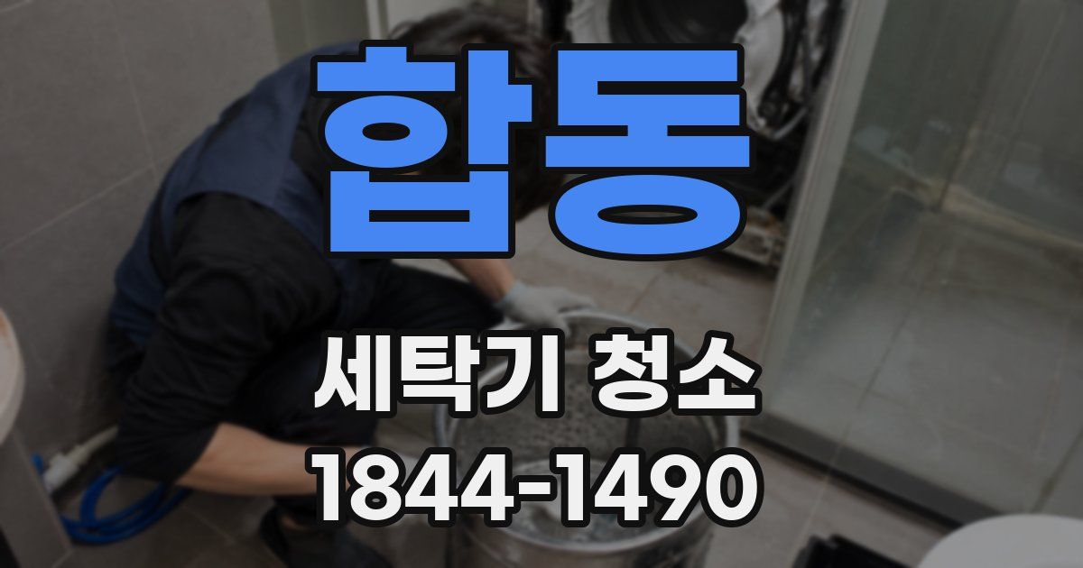 합동 세탁기 청소
