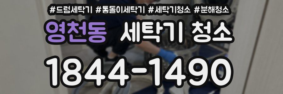 영천동 세탁기 청소