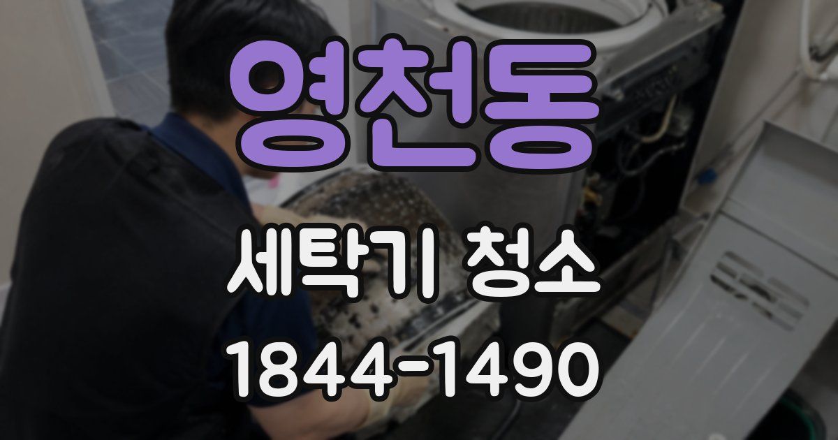 영천동 세탁기 청소