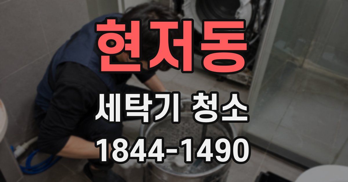 현저동 세탁기 청소